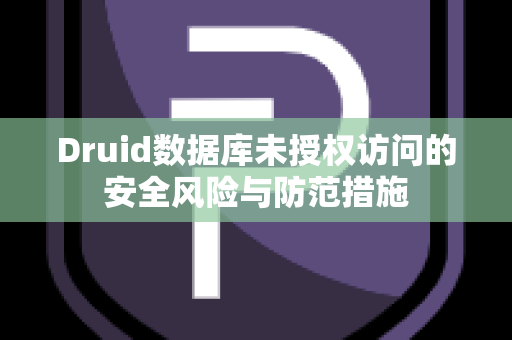 Druid数据库未授权访问的安全风险与防范措施