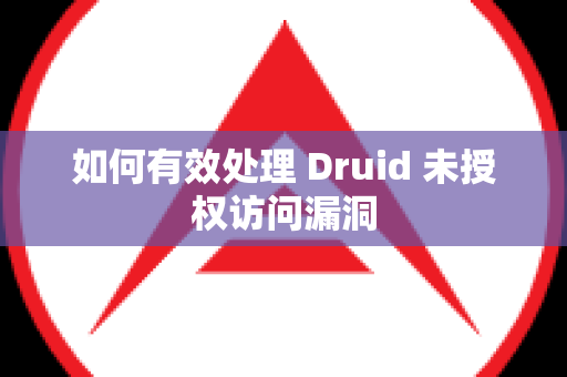 如何有效处理 Druid 未授权访问漏洞