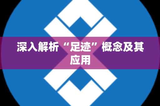 深入解析“足迹”概念及其应用