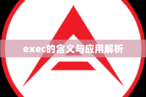 exec的含义与应用解析