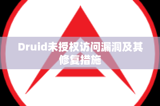 Druid未授权访问漏洞及其修复措施