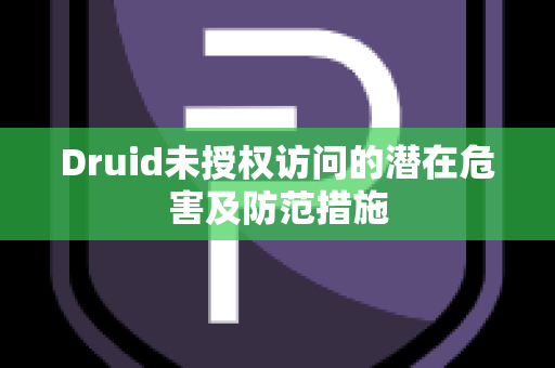 Druid未授权访问的潜在危害及防范措施