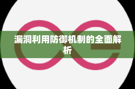 漏洞利用防御机制的全面解析