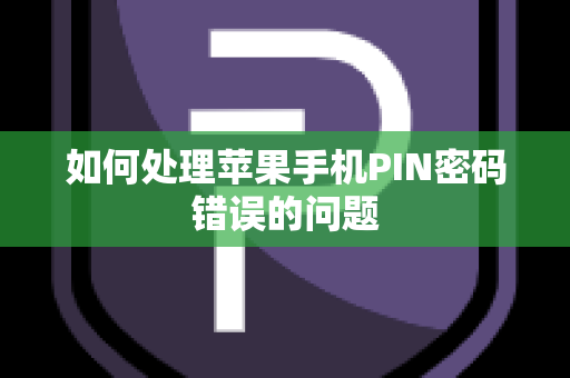 如何处理苹果手机PIN密码错误的问题