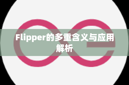 Flipper的多重含义与应用解析